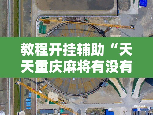 教程开挂辅助“天天重庆麻将有没有挂”(透视挂)辅助透视教程
