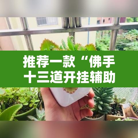 推荐一款“佛手十三道开挂辅助软件	”其实确实有挂