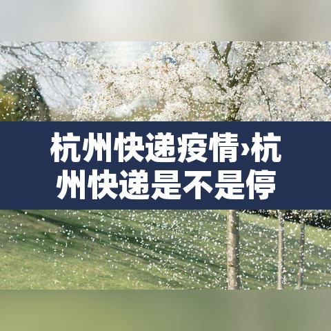 杭州快递疫情›杭州快递是不是停运了 杭州快递疫情›杭州快递是不是停运了