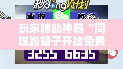 玩家辅助神器“同城跑胡子开挂免费软件	”开挂辅助脚本+详细开挂安装教程