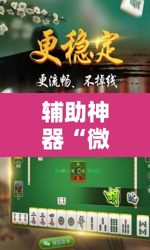 辅助神器“微乐江苏麻将万能开挂器通用版”其实确实有挂