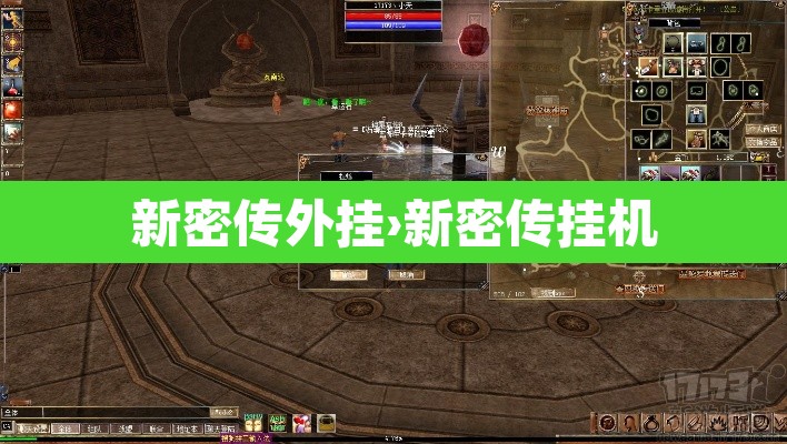 新密传外挂›新密传挂机