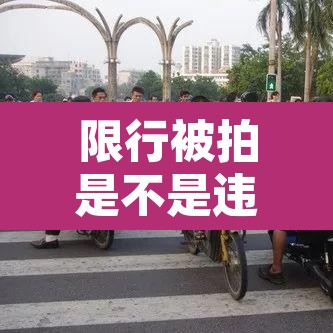 限行被拍是不是违章›限行被拍是不是违反禁令标志 限行被拍是不是违章›限行被拍是不是违反禁令标志