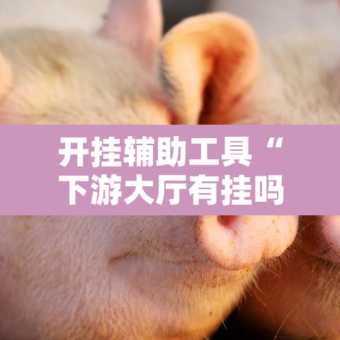 开挂辅助工具“下游大厅有挂吗	”其实确实有挂