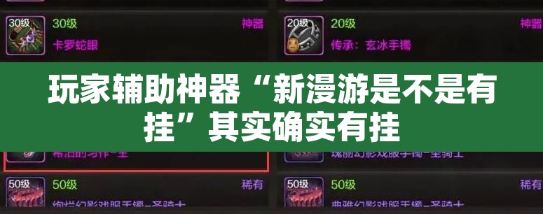 玩家辅助神器“新漫游是不是有挂”其实确实有挂