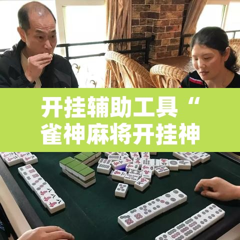 开挂辅助工具“雀神麻将开挂神器软件下载免费”开挂辅助脚本+详细开挂安装教程