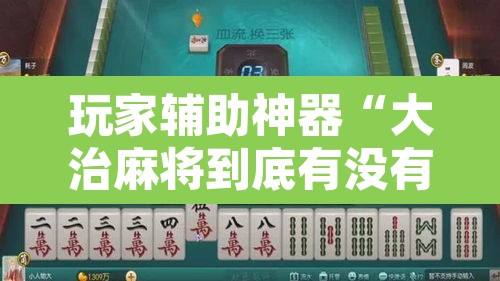 玩家辅助神器“大治麻将到底有没有挂”其实确实有挂