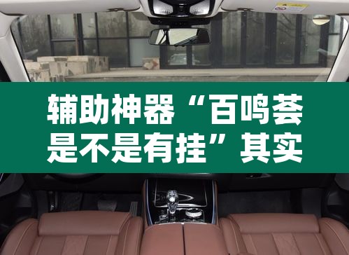 辅助神器“百鸣荟是不是有挂”其实确实有挂