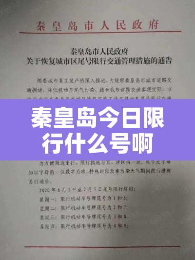 秦皇岛今日限行什么号啊：秦皇岛今日限行车牌号