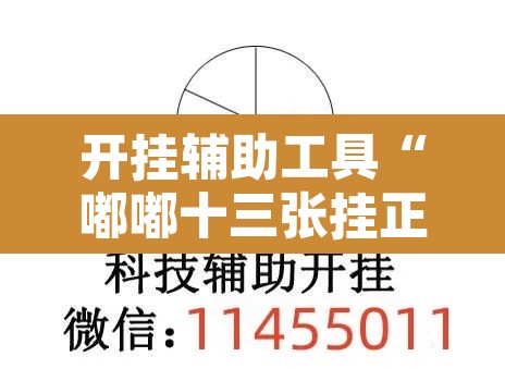 开挂辅助工具“嘟嘟十三张挂正版	”其实确实有挂