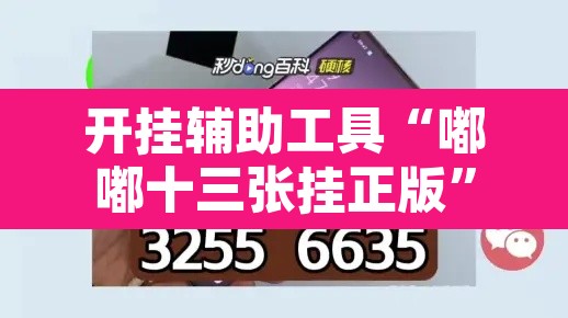 开挂辅助工具“嘟嘟十三张挂正版”其实确实有挂