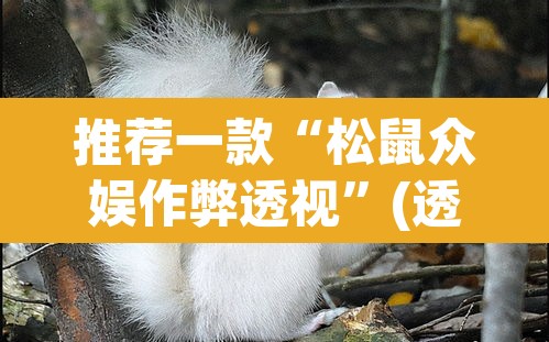 推荐一款“松鼠众娱作弊透视	”(透视)其实确实有挂