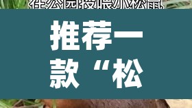 推荐一款“松鼠众娱作弊透视”(透视)其实确实有挂