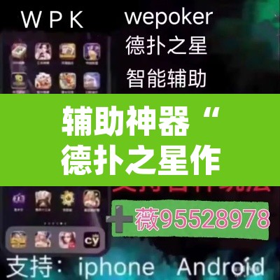 辅助神器“德扑之星作弊透视免费”(透视挂)辅助透视教程