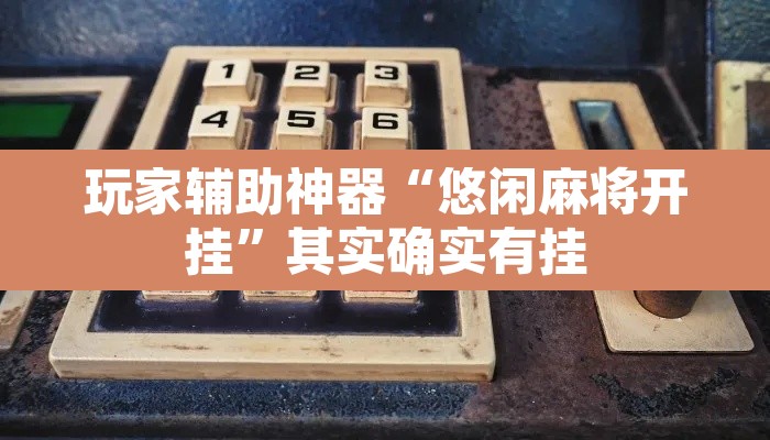 玩家辅助神器“悠闲麻将开挂”其实确实有挂
