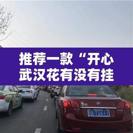 推荐一款“开心武汉花有没有挂”其实确实有挂
