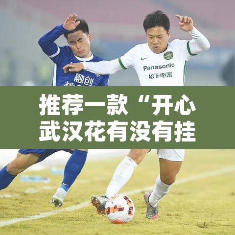 推荐一款“开心武汉花有没有挂”其实确实有挂