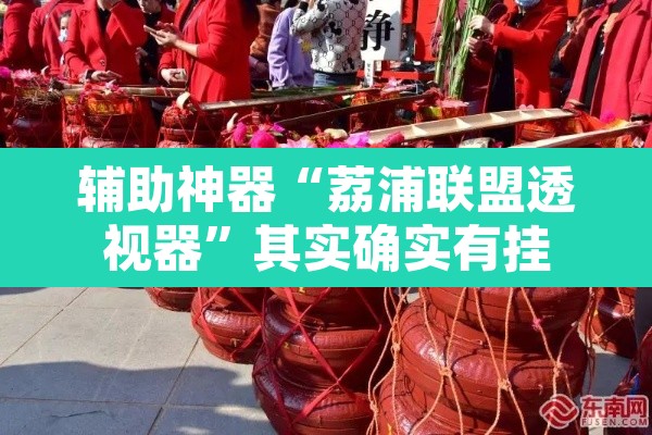 辅助神器“荔浦联盟透视器”其实确实有挂
