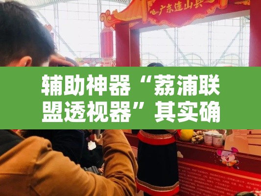 辅助神器“荔浦联盟透视器	”其实确实有挂