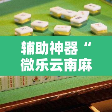 辅助神器“微乐云南麻将万能开挂器”其实确实有挂