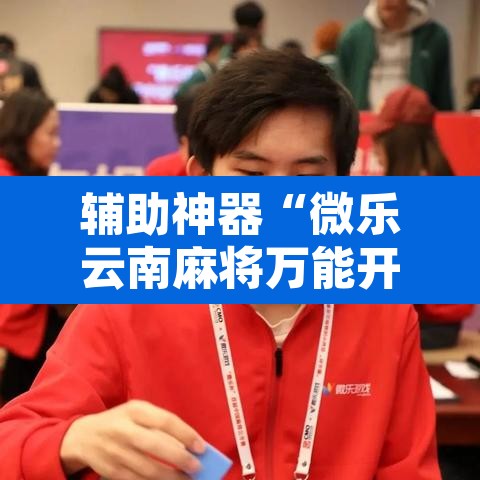 辅助神器“微乐云南麻将万能开挂器”其实确实有挂