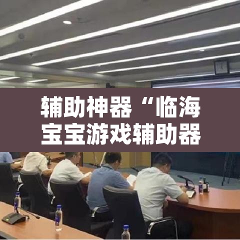 辅助神器“临海宝宝游戏辅助器”其实确实有挂