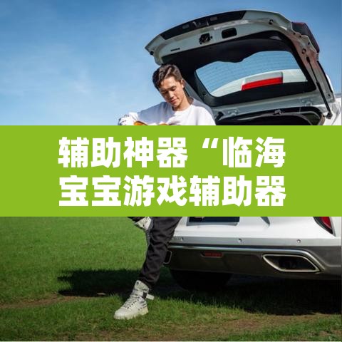 辅助神器“临海宝宝游戏辅助器”其实确实有挂