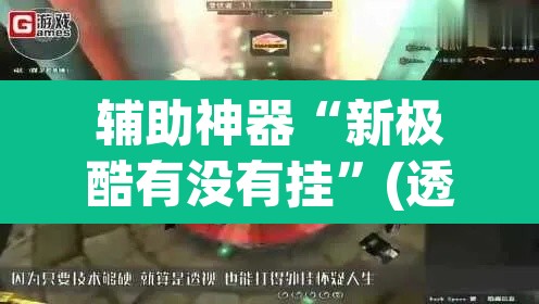 辅助神器“新极酷有没有挂”(透视)其实确实有挂