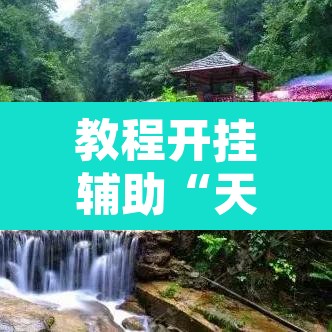 教程开挂辅助“天府棋牌雀神山庄作弊版本”其实确实有挂