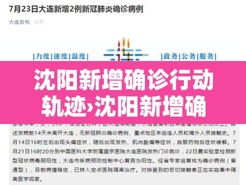 沈阳新增确诊行动轨迹›沈阳新增确诊病例轨迹公布
