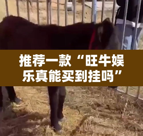 推荐一款“旺牛娱乐真能买到挂吗”其实确实有挂