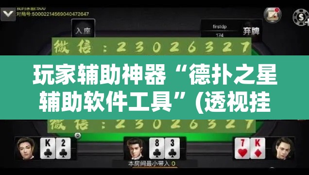 玩家辅助神器“德扑之星辅助软件工具	”(透视挂)辅助透视教程