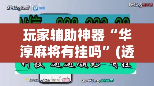 玩家辅助神器“华淳麻将有挂吗”(透视挂)辅助透视教程