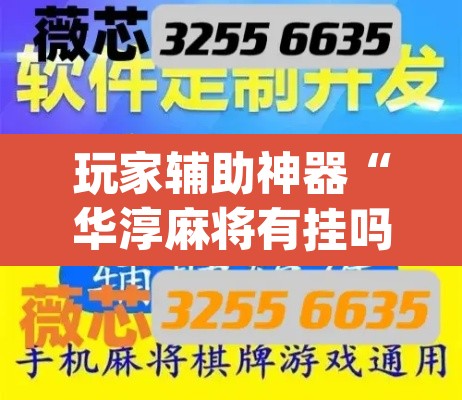 玩家辅助神器“华淳麻将有挂吗”(透视挂)辅助透视教程