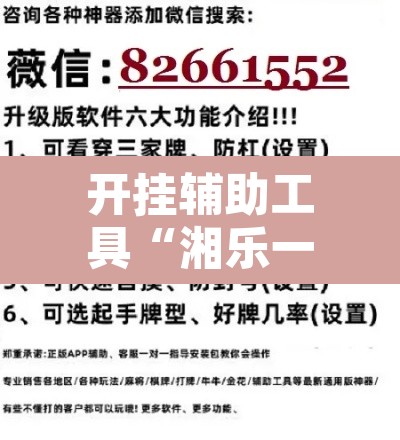 开挂辅助工具“湘乐一直输怎么办	”开挂辅助脚本+详细开挂安装教程