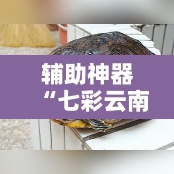 辅助神器“七彩云南麻将开挂神器下载”其实确实有挂