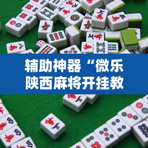 辅助神器“微乐陕西麻将开挂教程	”(透视挂)辅助透视教程