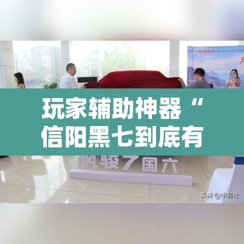 玩家辅助神器“信阳黑七到底有没有挂	”(透视)其实确实有挂
