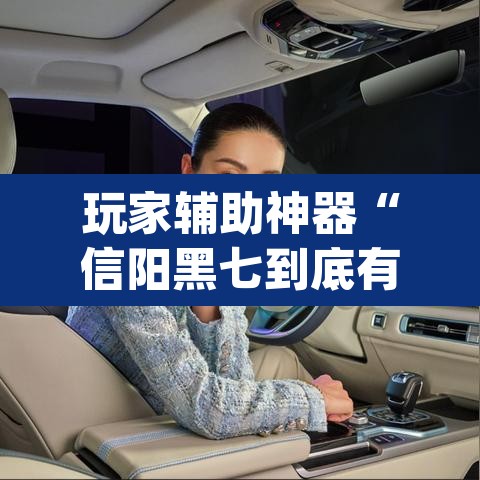 玩家辅助神器“信阳黑七到底有没有挂”(透视)其实确实有挂
