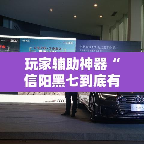 玩家辅助神器“信阳黑七到底有没有挂”(透视)其实确实有挂