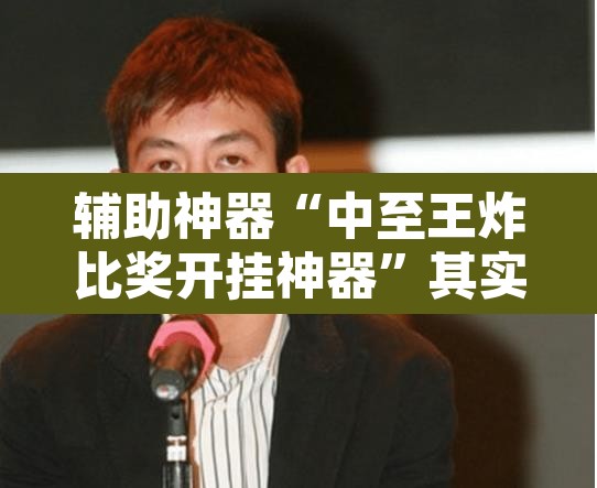 辅助神器“中至王炸比奖开挂神器”其实确实有挂