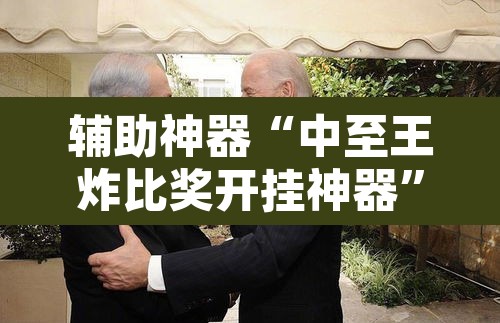 辅助神器“中至王炸比奖开挂神器	”其实确实有挂