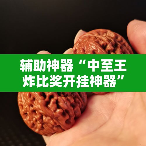 辅助神器“中至王炸比奖开挂神器	”其实确实有挂