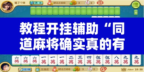 教程开挂辅助“同道麻将确实真的有挂”其实确实有挂