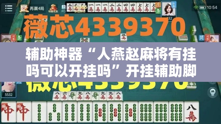 辅助神器“人燕赵麻将有挂吗可以开挂吗”开挂辅助脚本+详细开挂安装教程