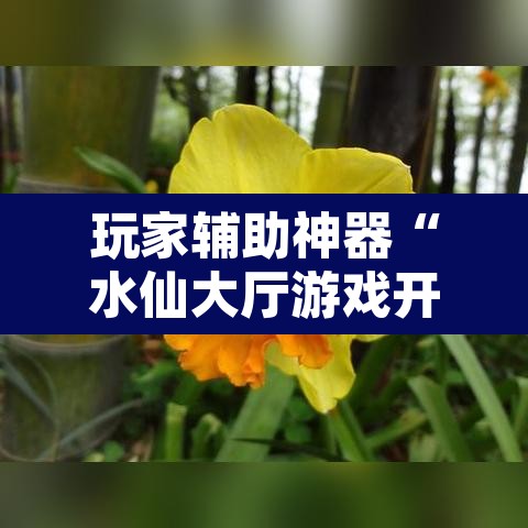 玩家辅助神器“水仙大厅游戏开挂辅助器”其实确实有挂