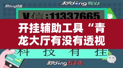 开挂辅助工具“青龙大厅有没有透视挂	”其实确实有挂