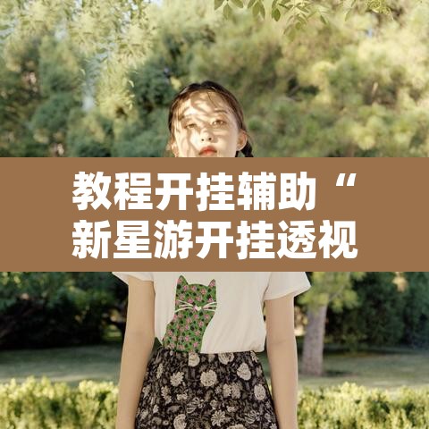 教程开挂辅助“新星游开挂透视辅助软件	”其实确实有挂