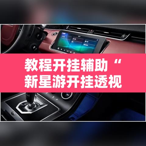 教程开挂辅助“新星游开挂透视辅助软件”其实确实有挂