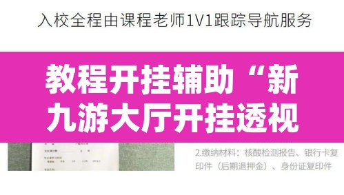 教程开挂辅助“新九游大厅开挂透视软件”(透视挂)辅助透视教程